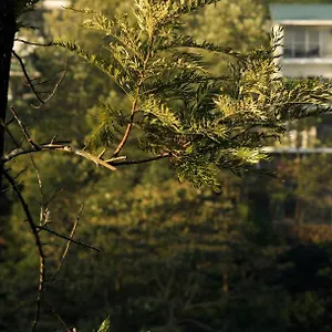 Resort Falcon Crest ***